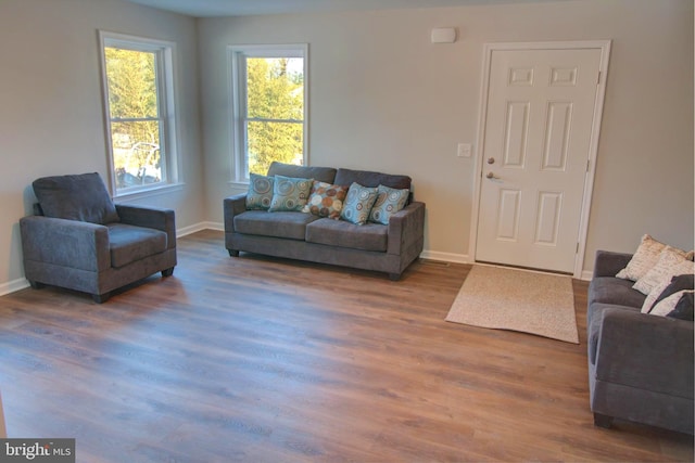 living room featuring hardwood / wood-style floors