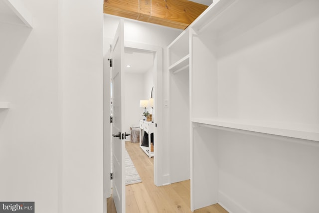 spacious closet featuring light hardwood / wood-style floors