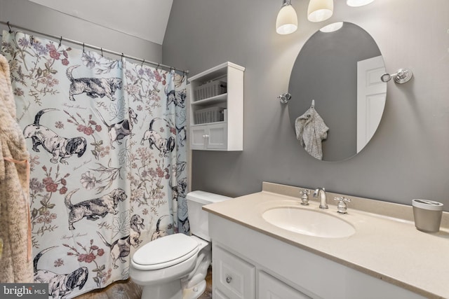 bathroom featuring vanity, a shower with curtain, and toilet