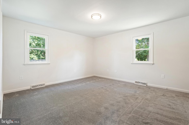 carpeted spare room featuring a wealth of natural light