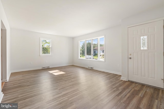 entrance foyer featuring dark wood-type flooring