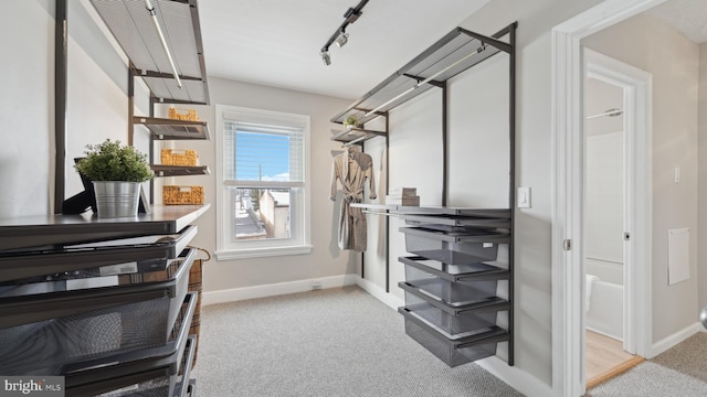 walk in closet with light colored carpet