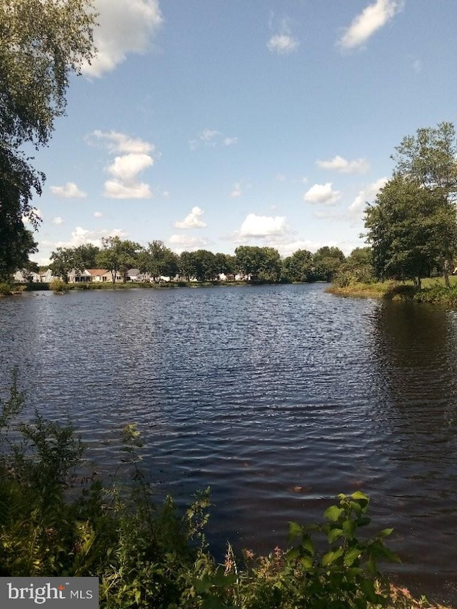 view of water feature