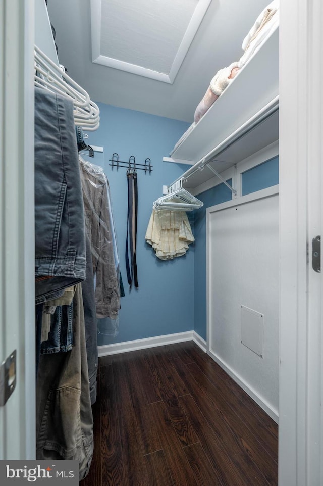 walk in closet with wood-type flooring