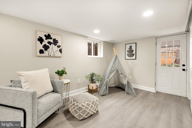 living area featuring wood-type flooring