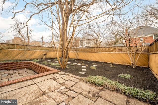 view of yard featuring a patio area