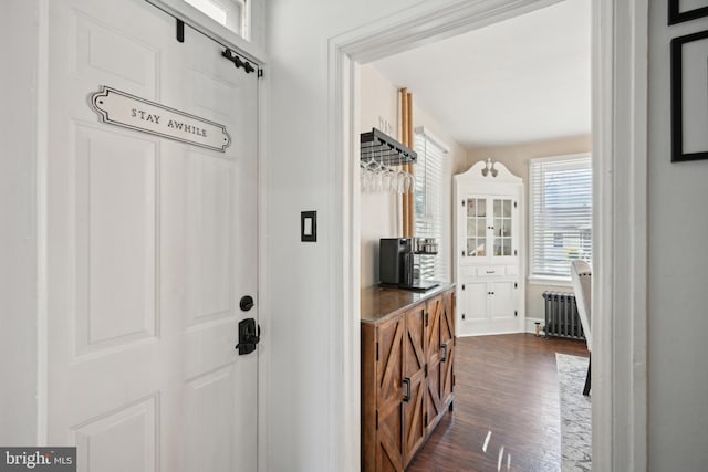 mudroom featuring radiator heating unit and dark hardwood / wood-style flooring