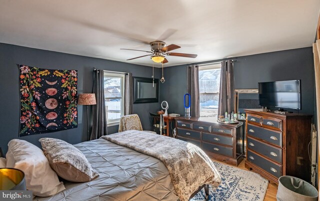 bedroom featuring ceiling fan, multiple windows, and light hardwood / wood-style flooring