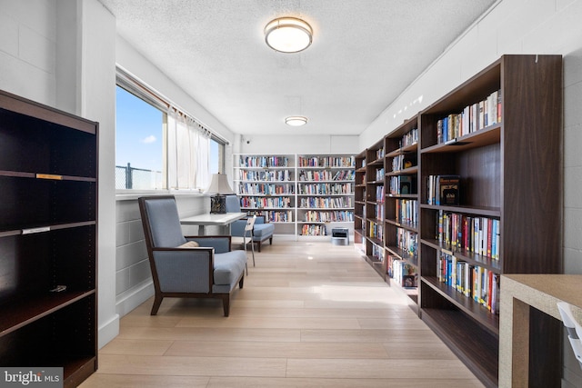 sitting room with a textured ceiling and light hardwood / wood-style flooring