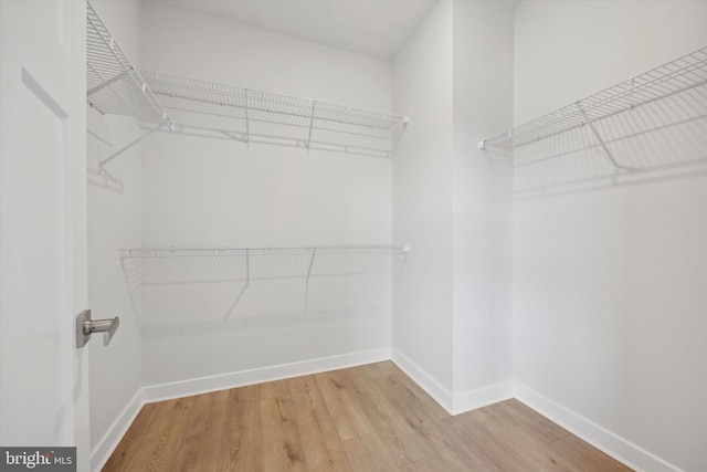 spacious closet with hardwood / wood-style flooring