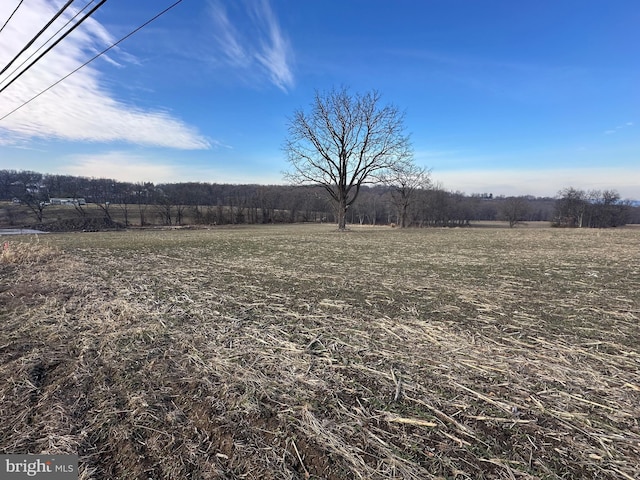 view of yard featuring a rural view