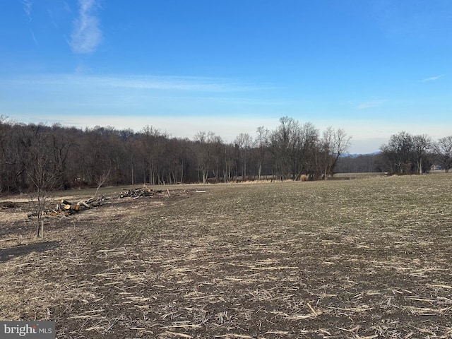 view of nature featuring a rural view