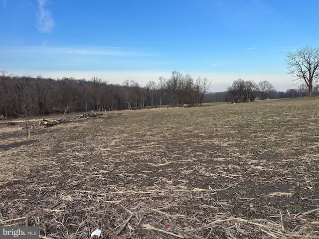 view of nature featuring a rural view