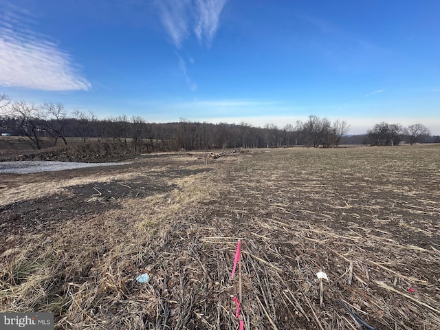 view of local wilderness featuring a rural view