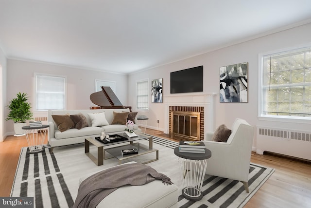 living room with a healthy amount of sunlight, radiator heating unit, a fireplace, and light hardwood / wood-style flooring