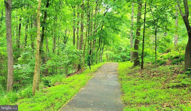 view of road