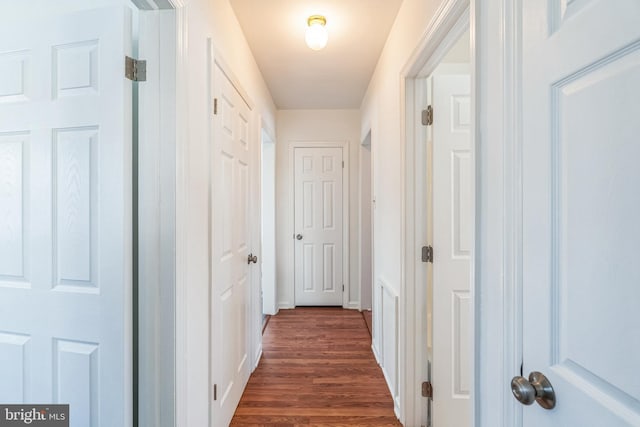 hall featuring dark wood-type flooring