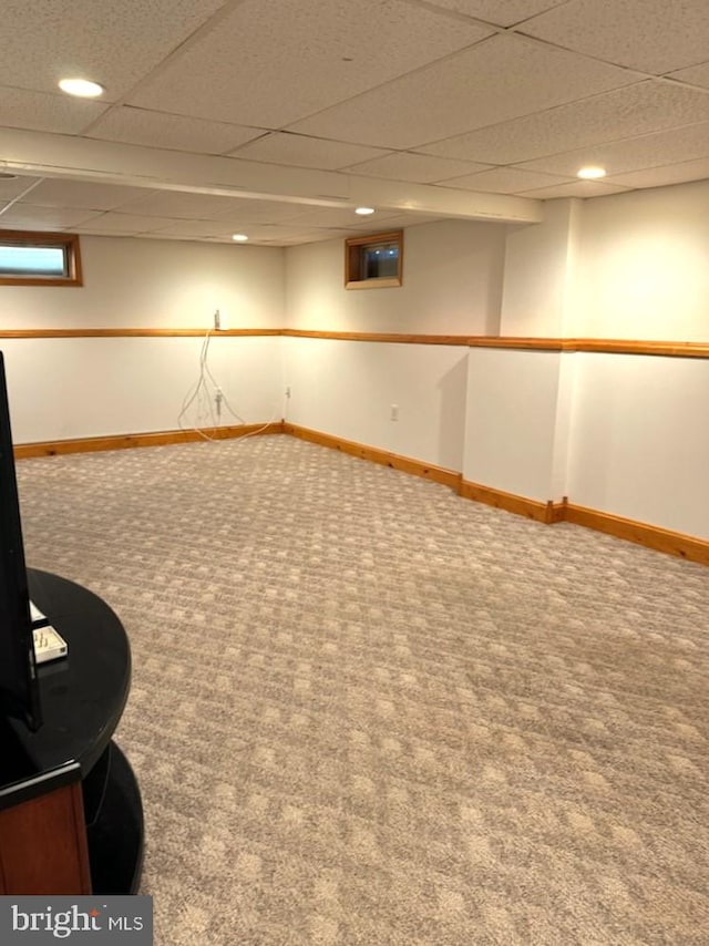 basement featuring a drop ceiling and carpet flooring