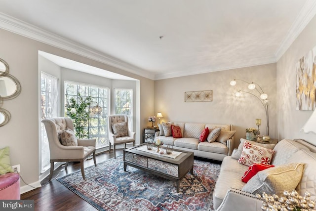 living room featuring crown molding and dark wood-type flooring