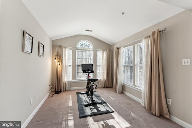 workout room featuring lofted ceiling and light colored carpet