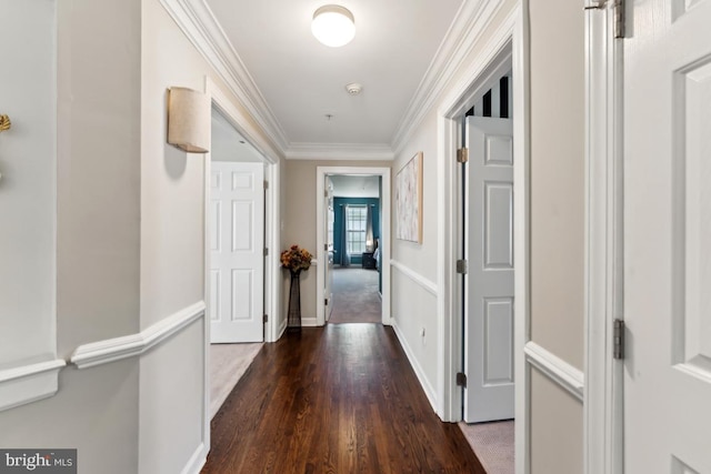 hall featuring crown molding and dark hardwood / wood-style floors