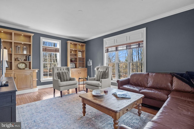 living room with crown molding and wood-type flooring