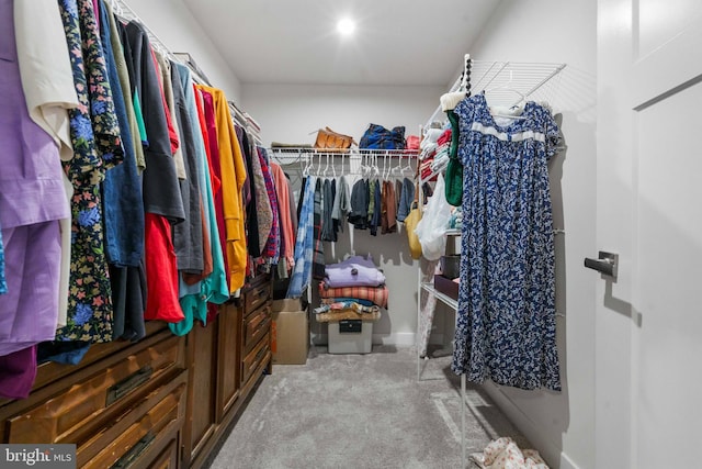 walk in closet featuring light colored carpet