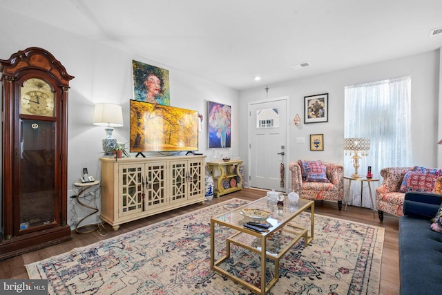 living room featuring hardwood / wood-style floors