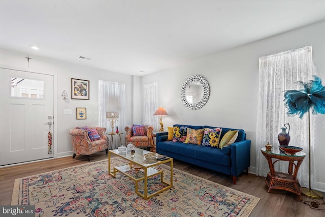 living room with wood-type flooring