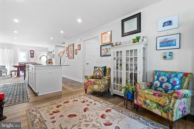 living room featuring hardwood / wood-style floors