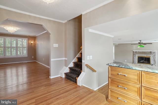 kitchen with light stone counters, crown molding, ceiling fan, and light wood-type flooring