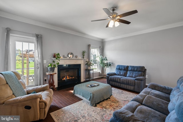 living room with a ceiling fan, wood finished floors, a lit fireplace, and ornamental molding
