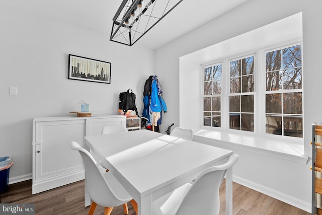 dining space featuring hardwood / wood-style floors