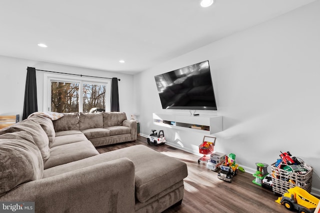 living room featuring wood-type flooring