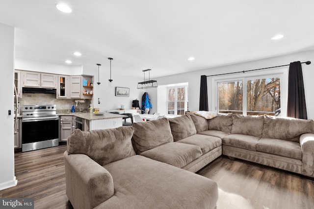 living room with dark hardwood / wood-style floors and sink