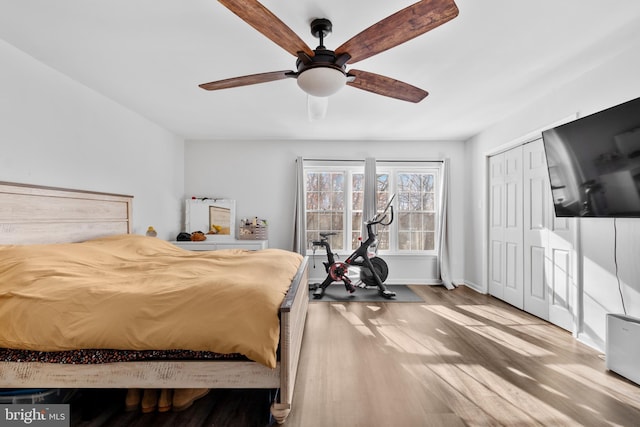 bedroom featuring hardwood / wood-style flooring, ceiling fan, and a closet