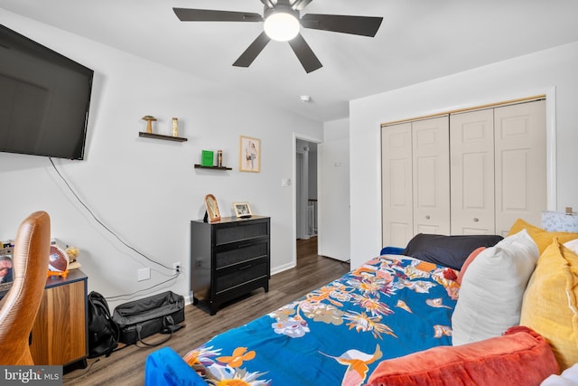 bedroom featuring dark wood-type flooring, ceiling fan, and a closet