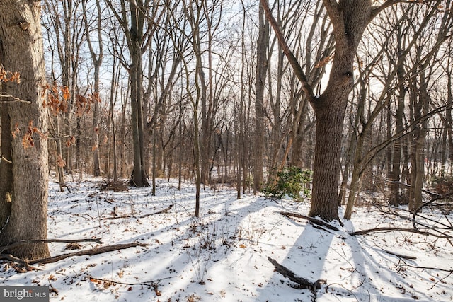 view of snow covered land