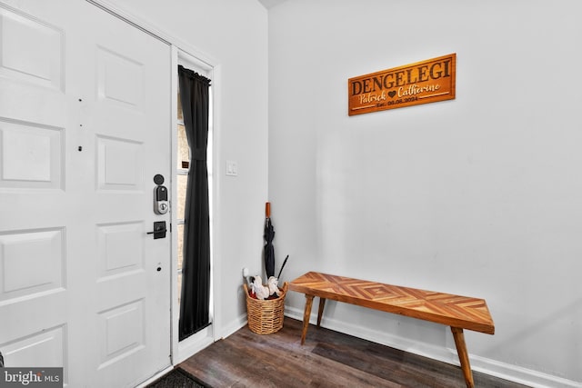 foyer entrance with dark wood-type flooring