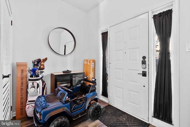 entryway featuring wood-type flooring