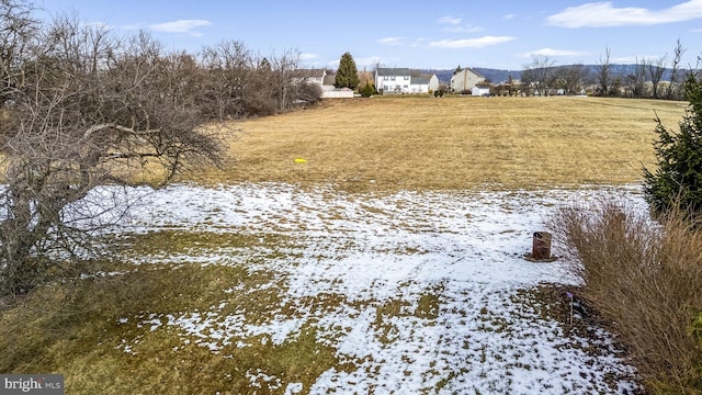 view of yard layered in snow