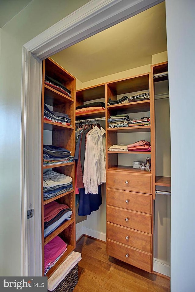 spacious closet with wood-type flooring