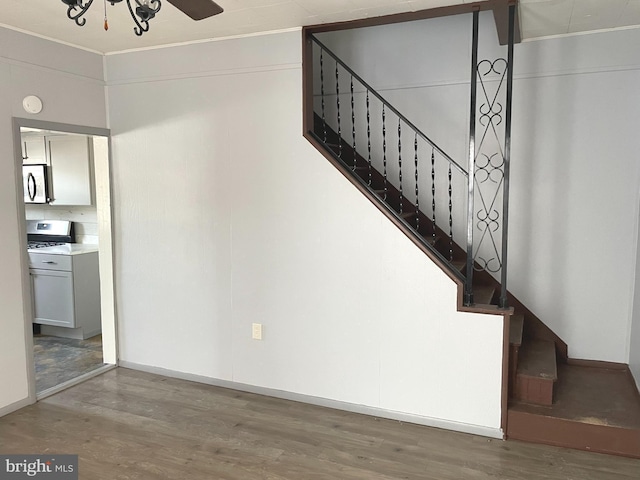 staircase featuring hardwood / wood-style floors