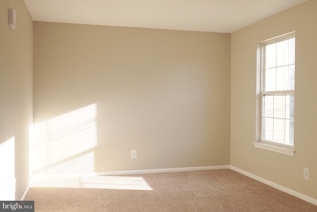 carpeted spare room featuring a wealth of natural light