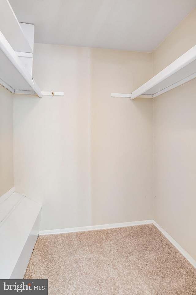 spacious closet with carpet