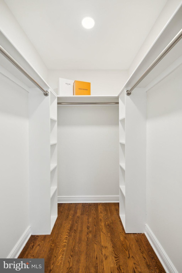 walk in closet featuring dark hardwood / wood-style floors