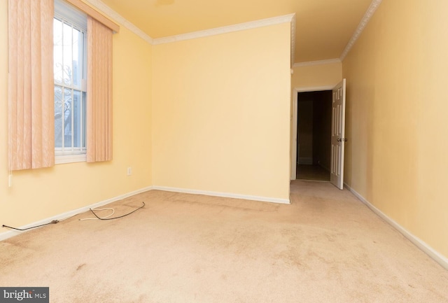 unfurnished room with crown molding and carpet