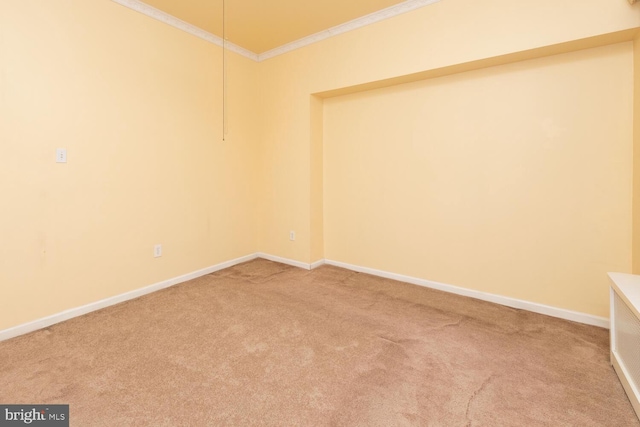 empty room featuring carpet floors and ornamental molding