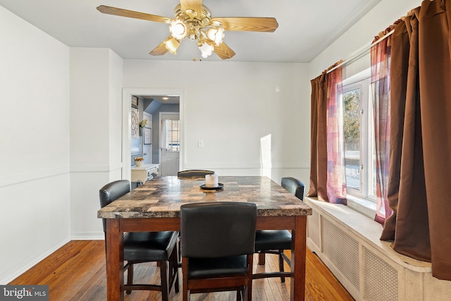 dining room featuring hardwood / wood-style flooring, radiator heating unit, and ceiling fan