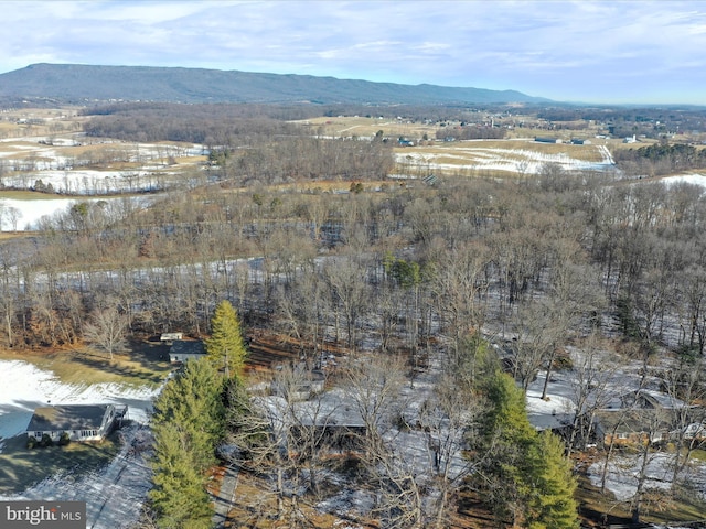 bird's eye view featuring a mountain view